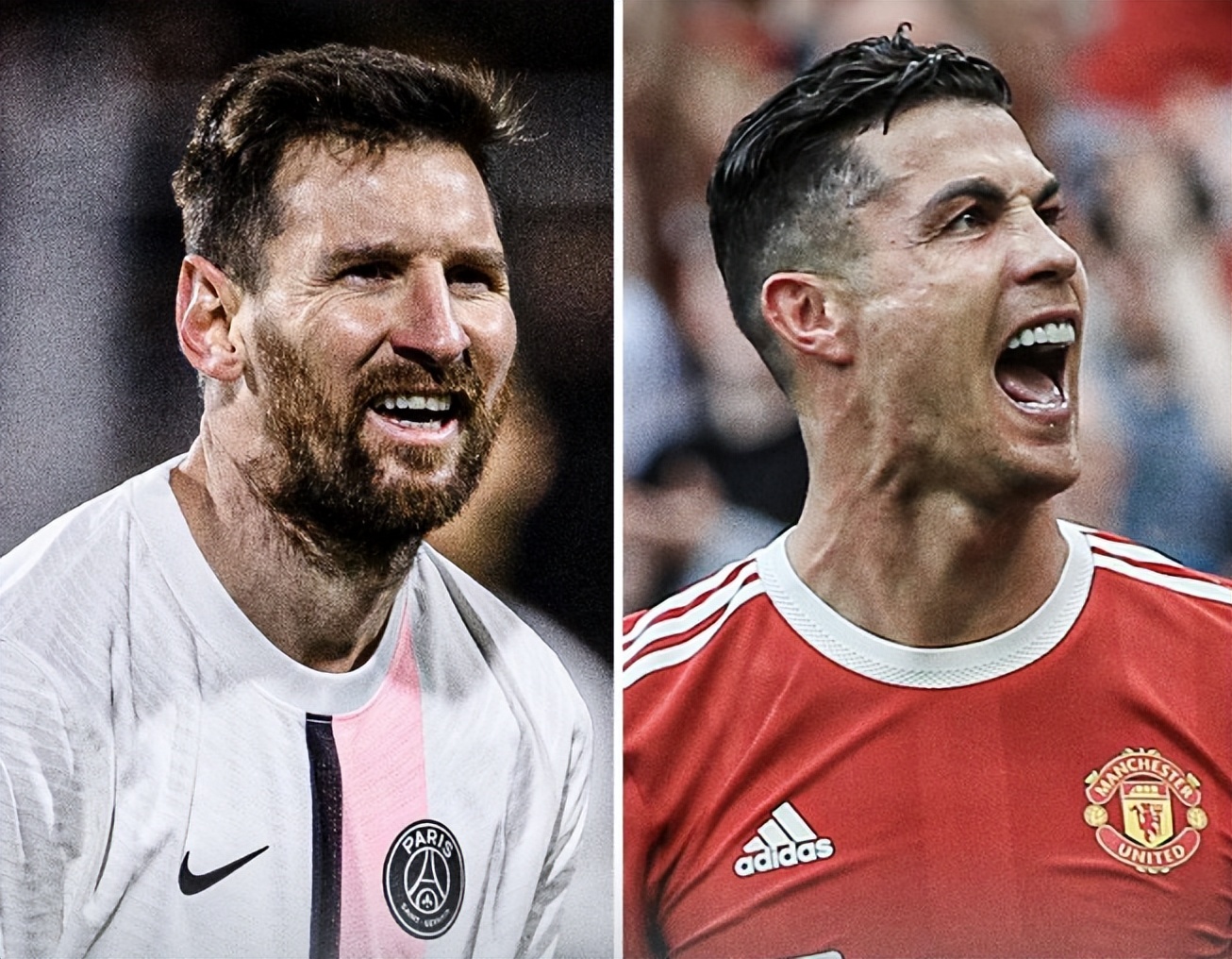 森林狼的高 森林狼的高